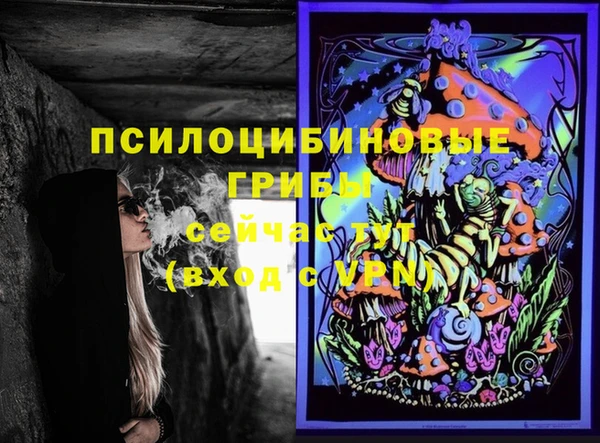 эйфоретик Алексин