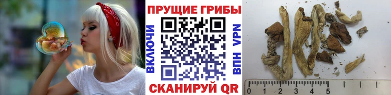 Галлюциногенные грибы прущие грибы  МЕГА ССЫЛКА  Шебекино  продажа наркотиков 