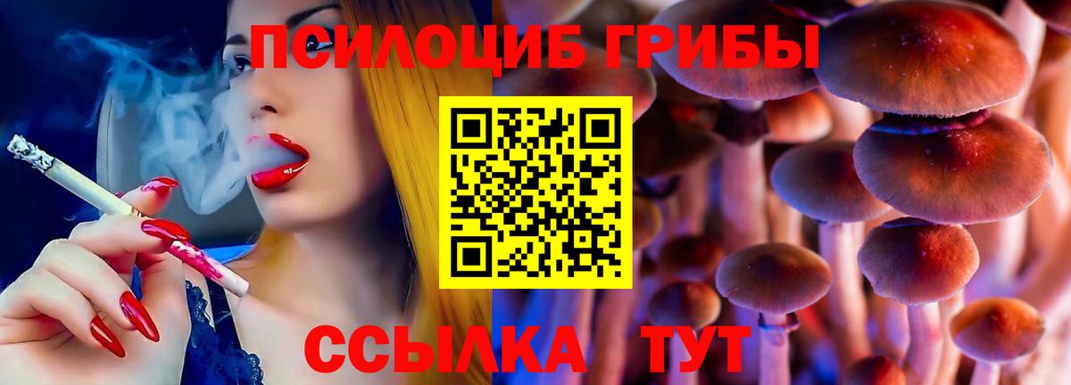 Шебекино  Псилоцибиновые грибы прущие грибы  Вход с VPN 
