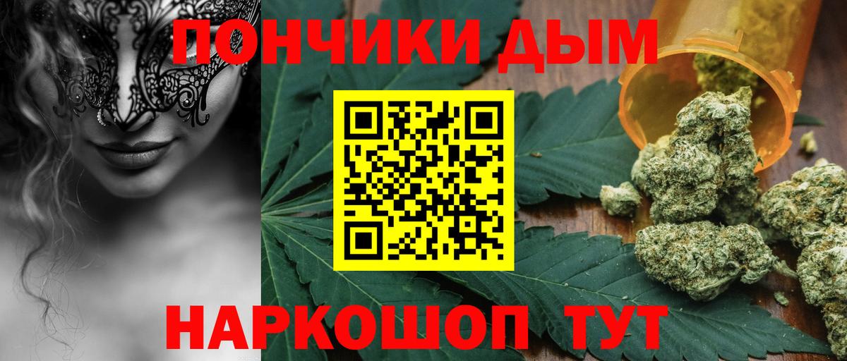 Канабис семена Шебекино